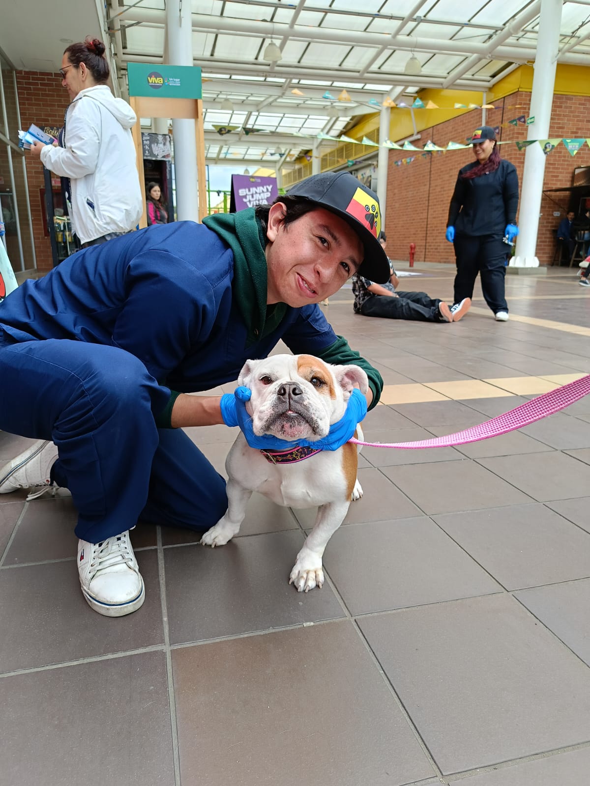 Juan Pérez - Veterinario Voluntario