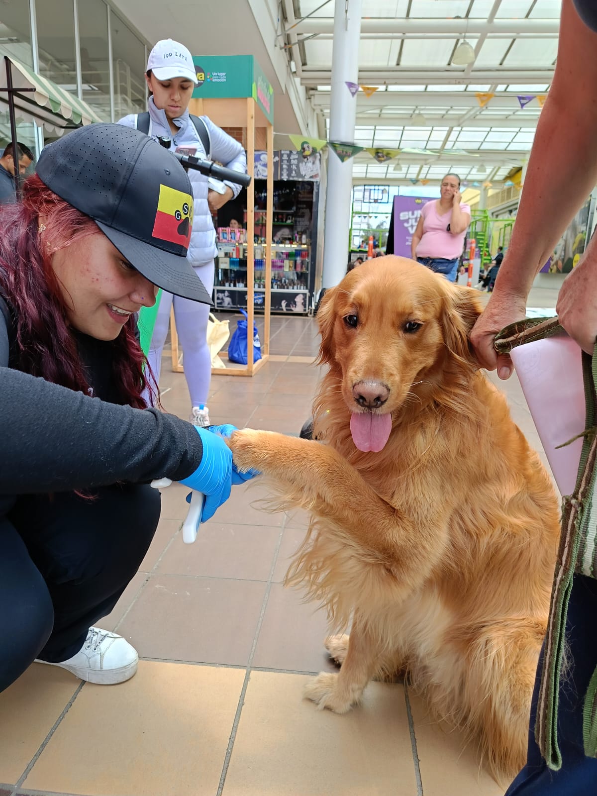 Laura Ruiz - Veterinario