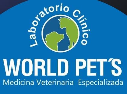 Red de Voluntarios Animalistas